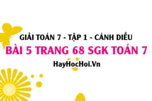 Giải bài 5 trang 68 Toán 7 Tập 1 SGK Cánh Diều